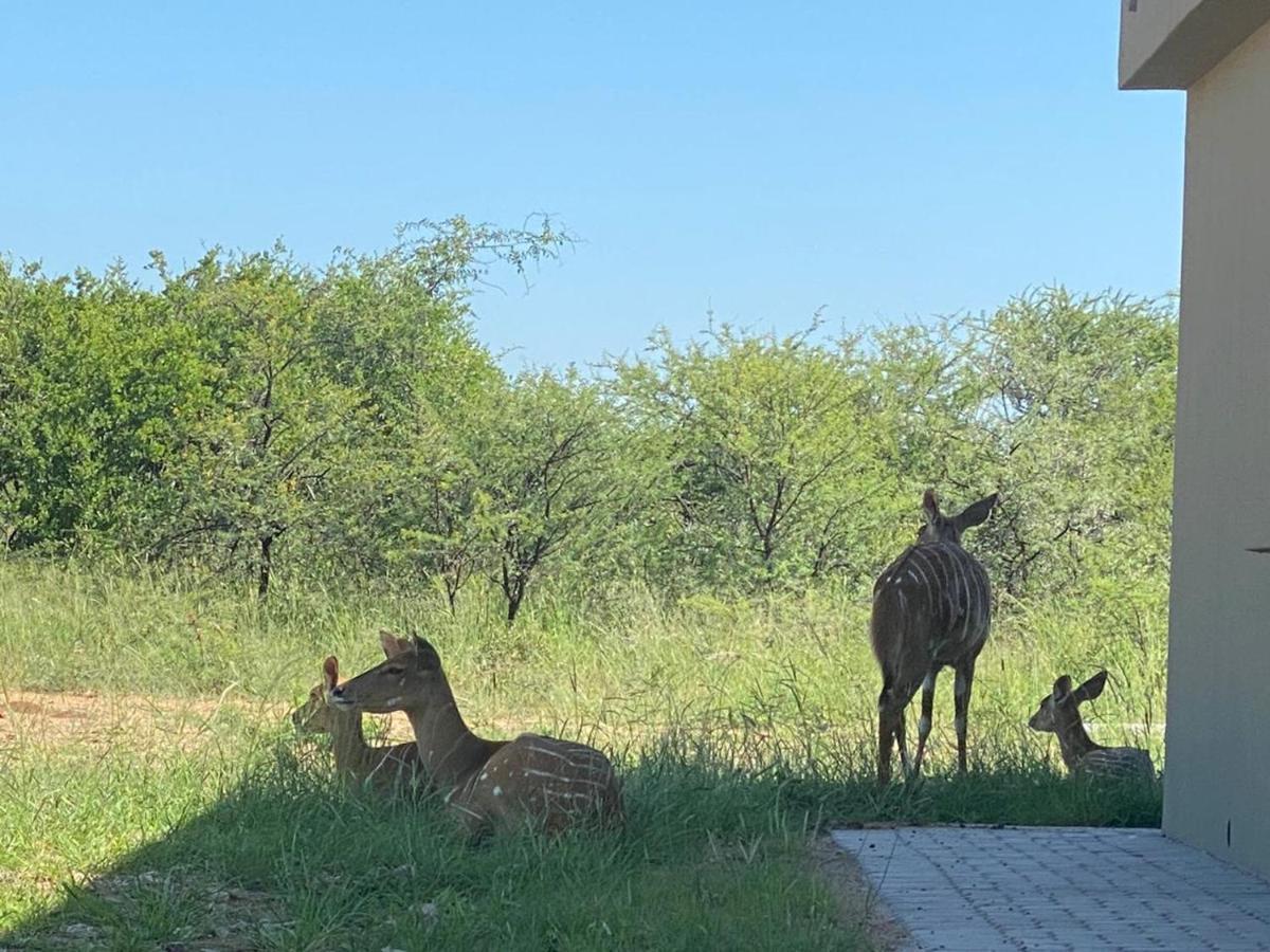 42@ Ditholo Game Lodge Thabazimbi Kültér fotó